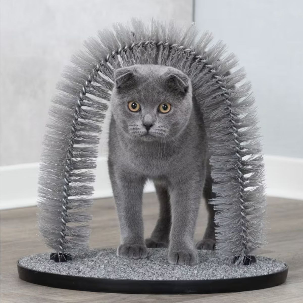 Produktbilde av Massasjetunnel til katt