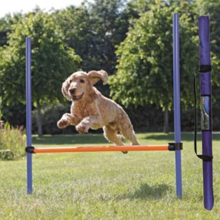 Produktbilde av Trixie agility hinder
