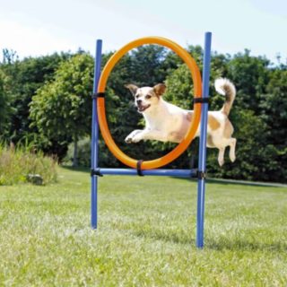 Produktbilde av Trixie agility ring