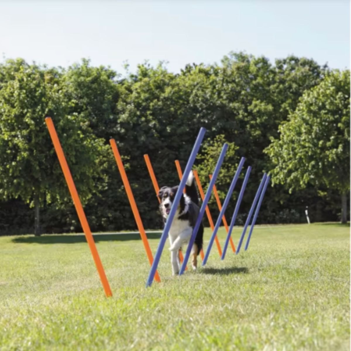 Produktbilde av Trixie agility slalom