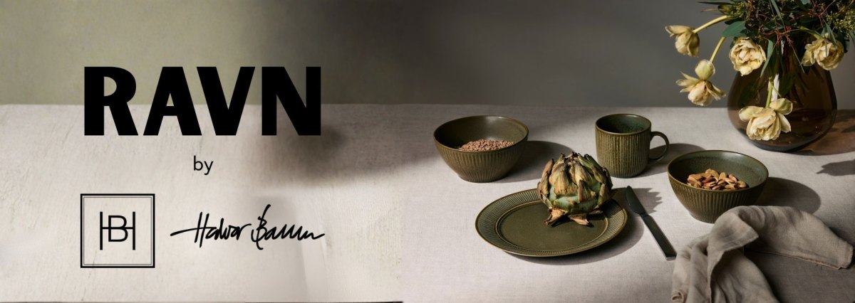 Toppbanner for RAVN by Halvor Bakke