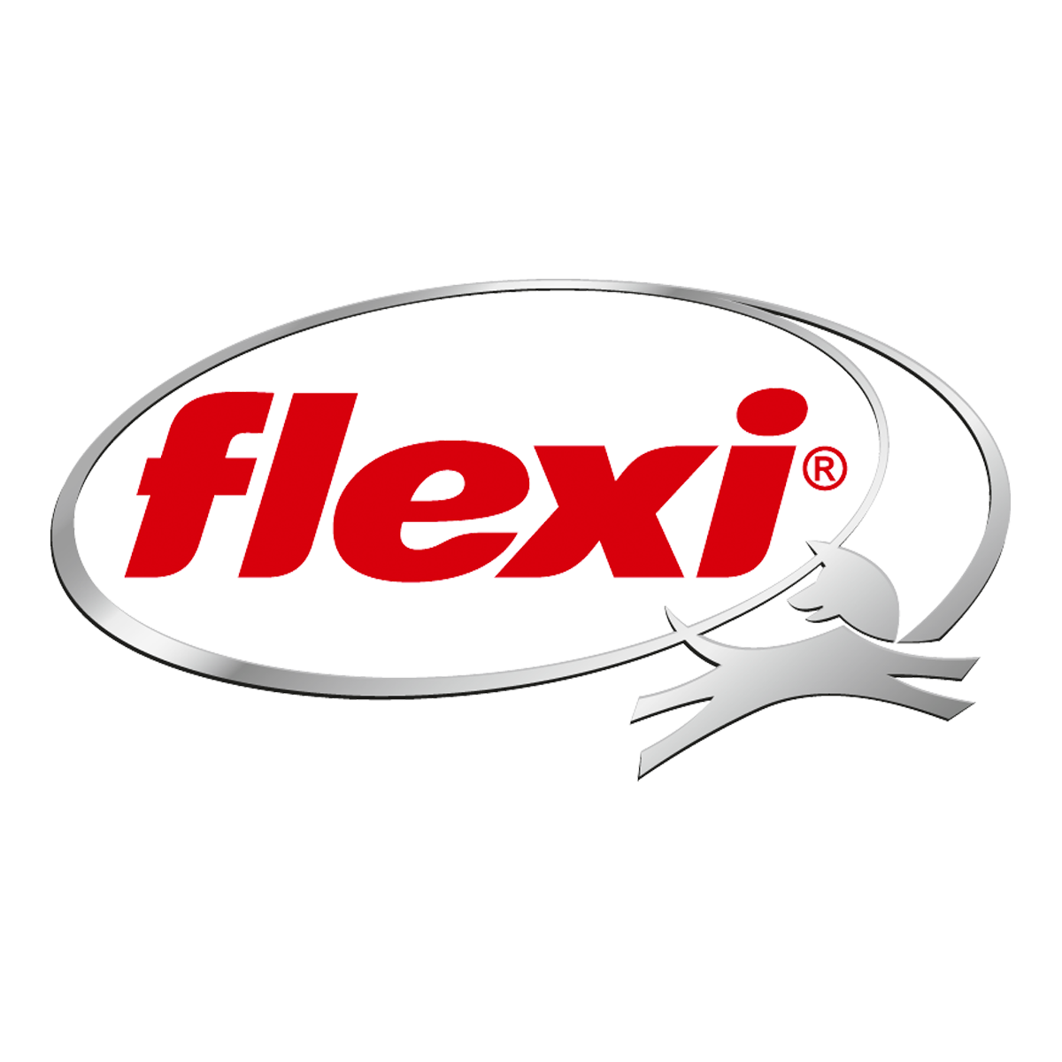 Logo for Flexi