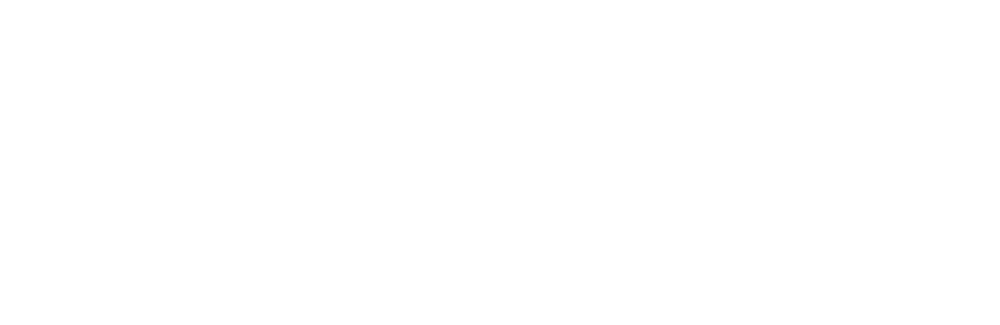 visa_white.png